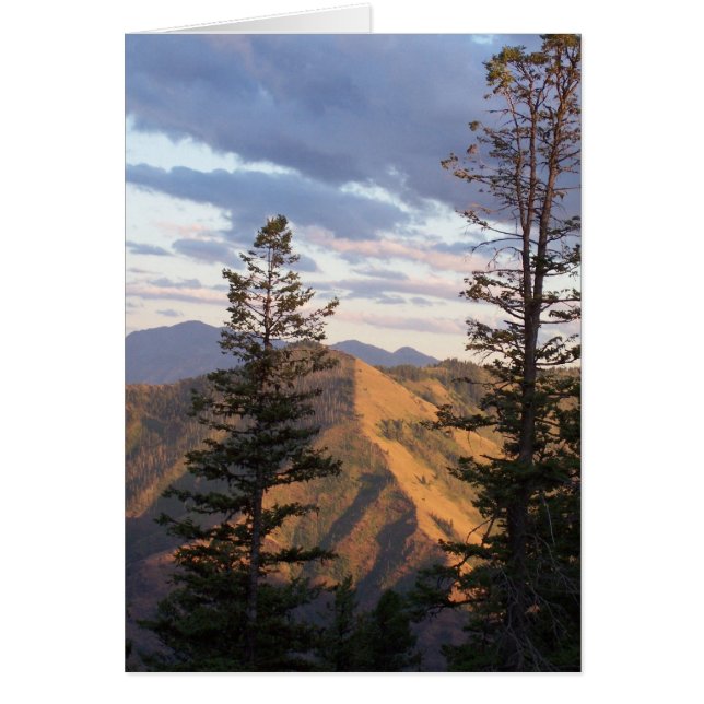 Verticaal uitzicht helling (Voorkant)