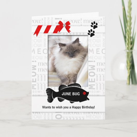 Verticaal van de foto van Cat Birthday Red Pet Kaart (Voorkant)
