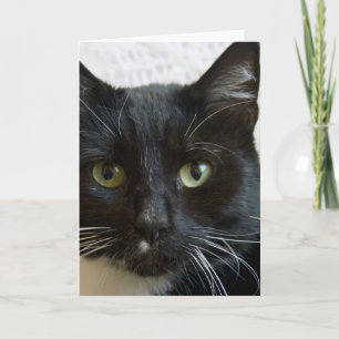 Verticaal Wenskaart: Lilly de Kat Kaart