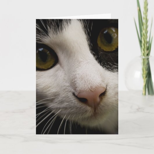 Verticaal Wenskaart: Mickey de kat Kaart (Voorkant)