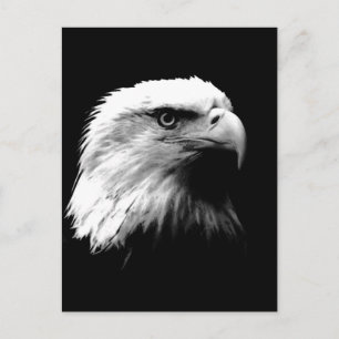 Verticaal zwart-wit Bald Eagle Briefkaart