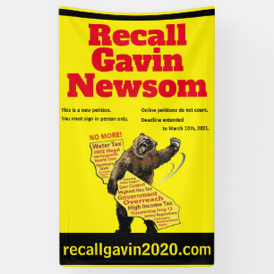 Verticale 3ft x 5ft recallgavin2020 banner