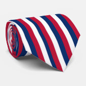 Verticale en horizontale rode witte en blauwe stre stropdas (Opgerold)