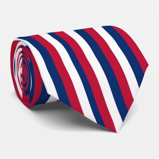 Verticale en horizontale rode witte en blauwe stre stropdas (Opgerold)