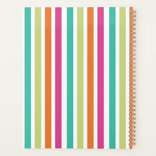 verticale regenboog strepen, kleurrijke retro-mult planner (Achterkant)