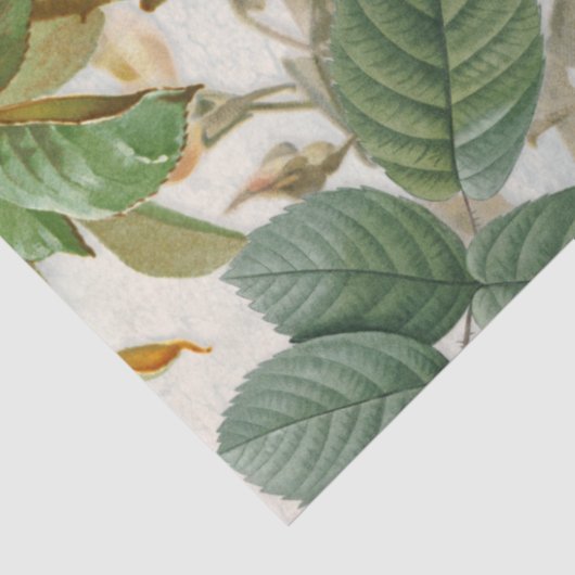 Verticale roze gele rozen Botanische vogels Tissuepapier (Detail)