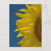 Verticale zonnebloem briefkaart (Voorkant)