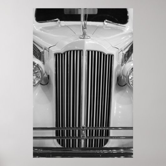 Verticle Grille, 2008 Poster (Voorkant)