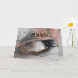 Vertraagde Sorry Siamese Kit Vervangbare Foto Kaart