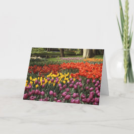 Vertraagde verjaardagswens Keukenhof tuin Kaart
