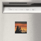 Vertragen, Vereenvoudigen, en wees vriendelijk.... Magneet (Insitu (Vaatwasser))