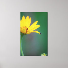 Vertrouw Canvas Afdruk