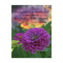 Vertrouw in de richting van je dromen