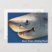 Vertrouw nooit op een glimlachende haai briefkaart (Voorkant / Achterkant)