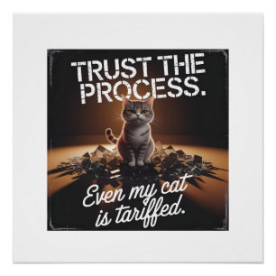 Vertrouw op het proces Cat Office Humor Meme Perfect Poster