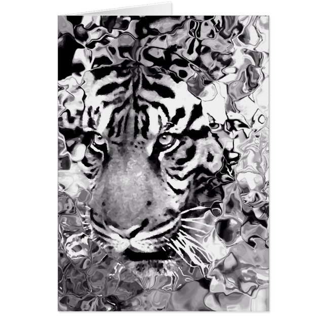 Vertrouwen _ (Voorkant)