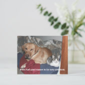 Vertrouwen Briefkaart (Staand voorkant)