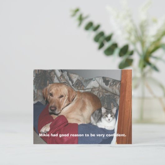 Vertrouwen Briefkaart (Staand voorkant)