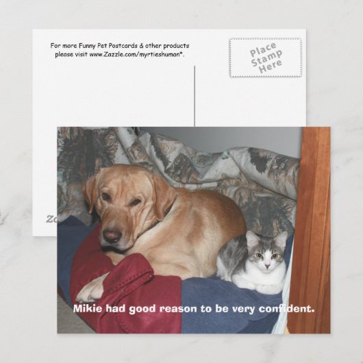 Vertrouwen Briefkaart (Voorkant / Achterkant)