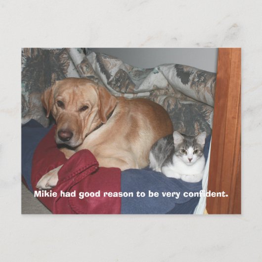 Vertrouwen Briefkaart (Voorkant)