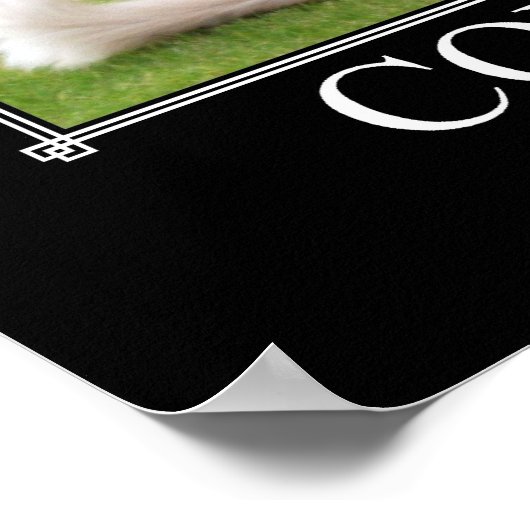 Vertrouwen Cat Artwork Funny Poster (Hoek)