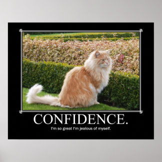 Vertrouwen Cat Artwork Funny Poster