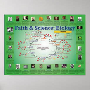 Vertrouwen en wetenschap: Biologie (krebs-cyclus) Poster