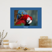 Vertrouwen Poster (Keuken)