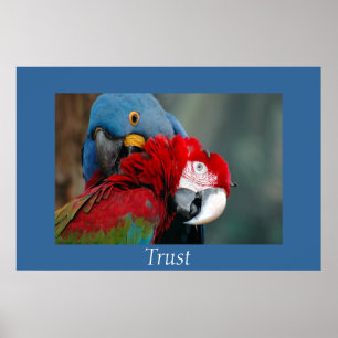 Vertrouwen Poster