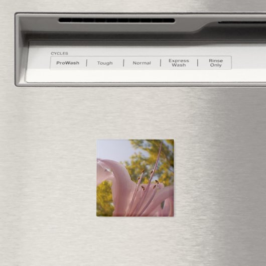 Vervaagde Lily Magnet (Insitu (Vaatwasser))