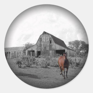 Vervagen naar zwarte ronde stickers