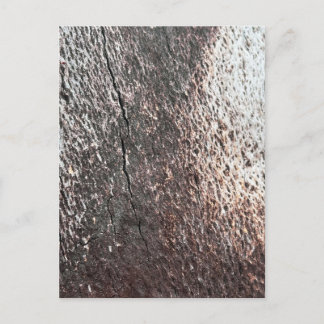 Vervagende boomstamtextuur briefkaart