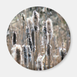 Vervagende Lisdodde Natuurfotografie Magneet