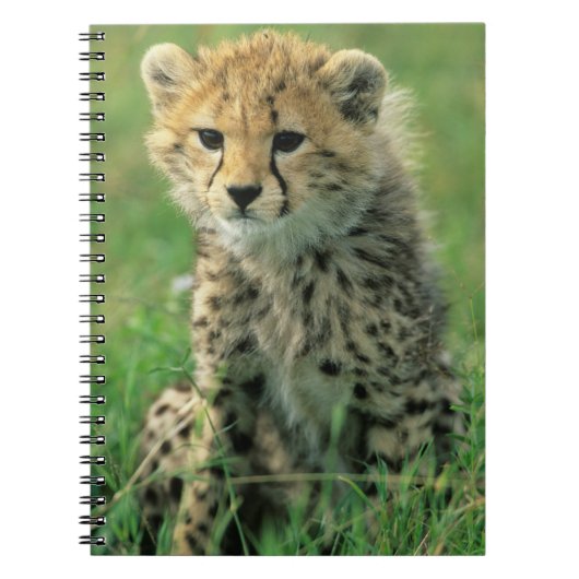 Vervaging cheetaah jong notitieboek (Voorkant)