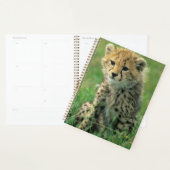 Vervaging Luipaard Welp Planner (Display)