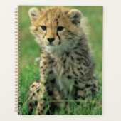 Vervaging Luipaard Welp Planner (Voorkant)