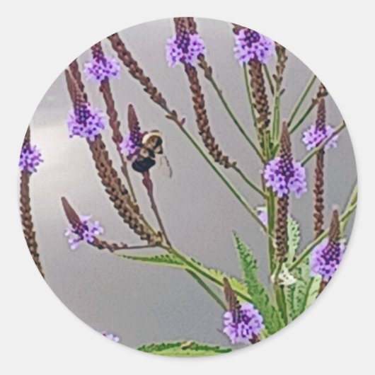 Vervain Sticker (Voorkant)