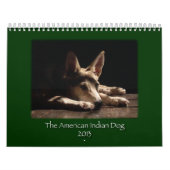 VERVALLEN 2013-STEUNkalender Kalender (Hoes)