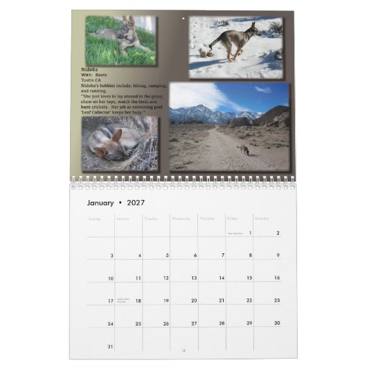 VERVALLEN 2013-STEUNkalender Kalender (Jan 2027)