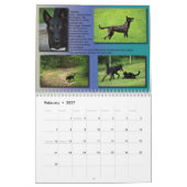 VERVALLEN 2013-STEUNkalender Kalender (Feb 2027)