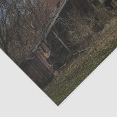 Vervallen verlaten houthuur in het bos tissuepapier (Detail)