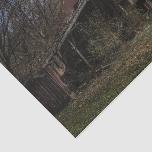 Vervallen verlaten houthuur in het bos tissuepapier (Detail)