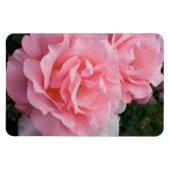 Vervang Rozen Foto Verticaal Merk Persoonlijk Magneet (Horizontaal)