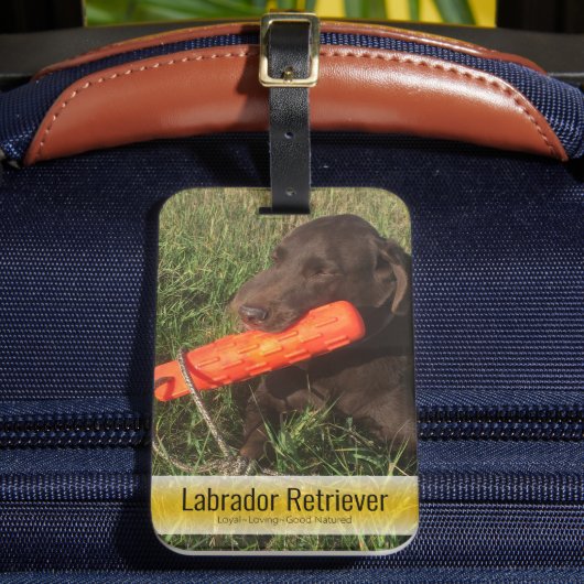 Vervangbare Afbeelding familie of huisdier foto Cu Bagagelabel (Voorkant Insitu 2)