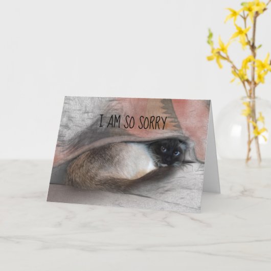 Vervangbare foto van het Kat met Belated Sorry Sia Kaart (Gele Bloem)