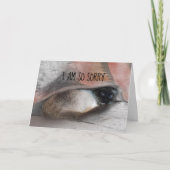 Vervangbare foto van het Kat met Belated Sorry Sia Kaart (Voorkant)