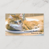 Vervangbare grappige kat in wastafel foto visitekaartje (Voorkant)