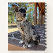 Vervangbare Schattige Cattle Dog Hoesje Foto Notitieboek (Achterkant)