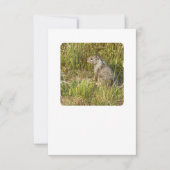 Vervangen forceren met masker kaart (Voorkant)