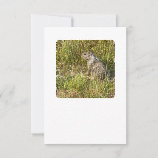 Vervangen forceren met masker kaart (Voorkant)